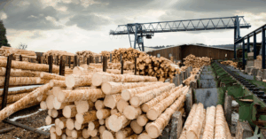 Lumber yards can use government-guaranteed loans.